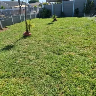 Supply and installa Lm Berea grass