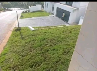 Supply and installa Lm Berea grass