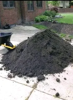 Roll on lawn buffalo grass and Cynadone grass