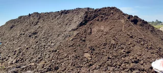 Roll on lawn Lm Berea grass and Kikuyu grass