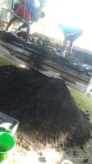 Delivery and installa buffalo grass