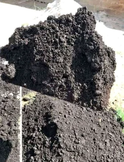 Delivery and installa buffalo grass