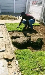 Green and fresh grass