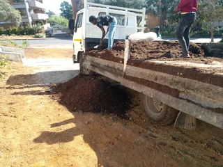 Roll on lawn Lm Berea grass