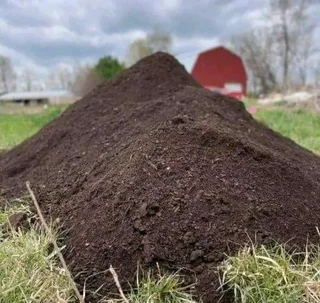 We do supply and installa buffalo grass and Kikuyu grass weed free