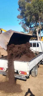 We do supply and installa buffalo grass and Kikuyu grass weed free