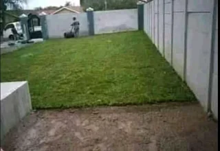 Roll on lawn Kikuyu grass