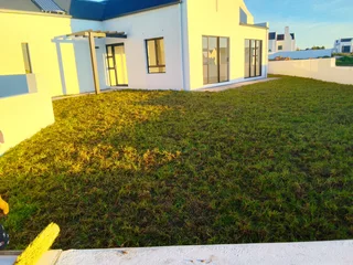 Roll on lawn Kikuyu grass