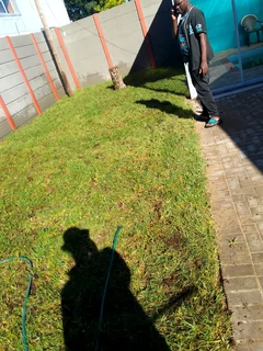 Roll on lawn Kikuyu grass