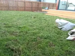 We do supply and installa buffalo grass