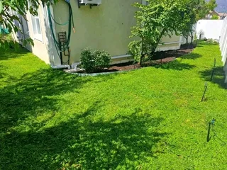 Roll on lawn Kikuyu grass and buffalo grass