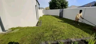 Delivery and installa Lm Berea grass
