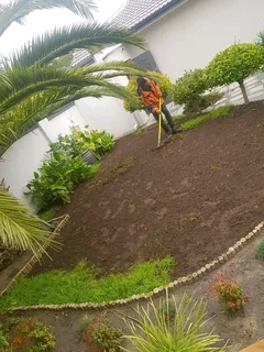 Delivery and installa Lm Berea grass