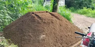 Delivery and installa Lm Berea grass