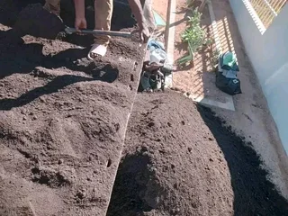 Delivery and installa Lm Berea grass