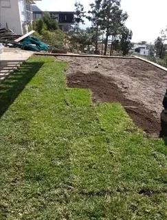 We do sell call type of national grass