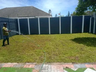 Roll on lawn Kikuyu grass