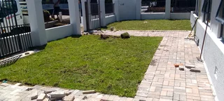 Green and fresh national grass