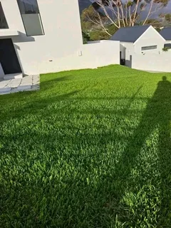 Supply and installa  call type of grass