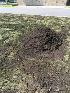 Supply and installa  call type of grass