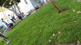 Supply and installa  call type of grass