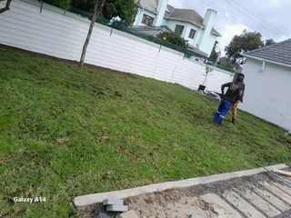 LM Berea grass and Kikuyu grass weed free