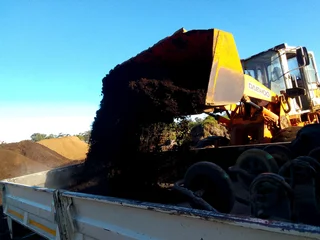 Roll on lawn Kikuyu grass