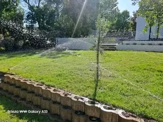 Delivery and installa buffalo grass