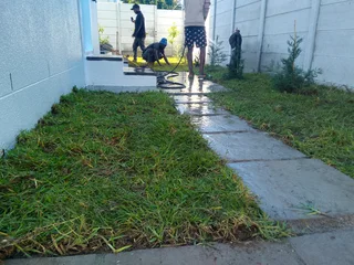 Delivery and installa buffalo grass