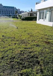 Delivery and installa buffalo grass