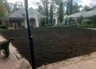 We do supply and installa buffalo grass and Kikuyu grass