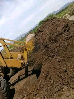 We do supply and installa buffalo grass and Kikuyu grass