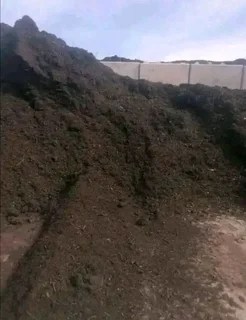 Roll on lawn Kikuyu grass