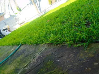 Delivery and installa Lm Berea grass