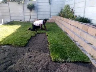 Delivery and installa Lm Berea grass and Kikuyu grass