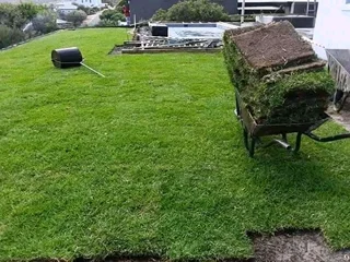 Delivery and installa Lm Berea grass and Kikuyu grass