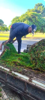 Delivery and installa Lm Berea grass and Kikuyu grass