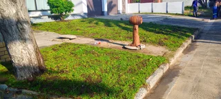 Delivery and installa Lm Berea grass and Kikuyu grass