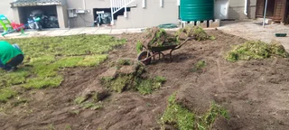 Delivery and installa Lm Berea grass and Kikuyu grass