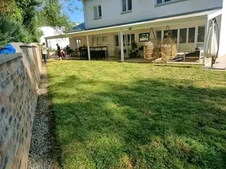 We do sell  green and fresh grass