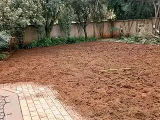 We do sell  green and fresh grass