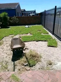 We do sell  green and fresh grass