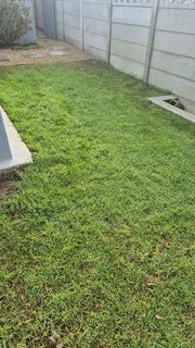 We do sell  green and fresh grass