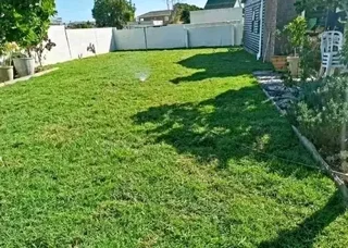 We do sell  green and fresh grass