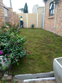 Supply and installa  Cyndone grass