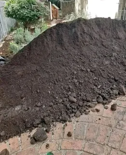 Supply and installa  Cyndone grass