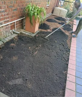 Supply and installa  Cyndone grass