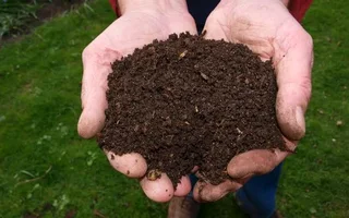 Supply and installa  Cyndone grass