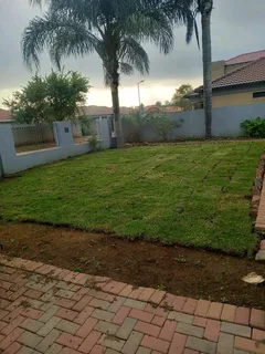 Fresh and green Kikuyu grass