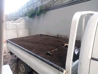 Fresh and green Kikuyu grass